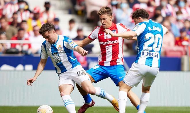 塔比莎的成 塔比莎的成