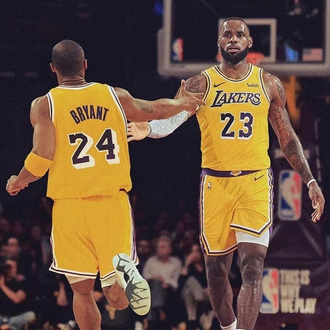 裁判报告 裁判报告