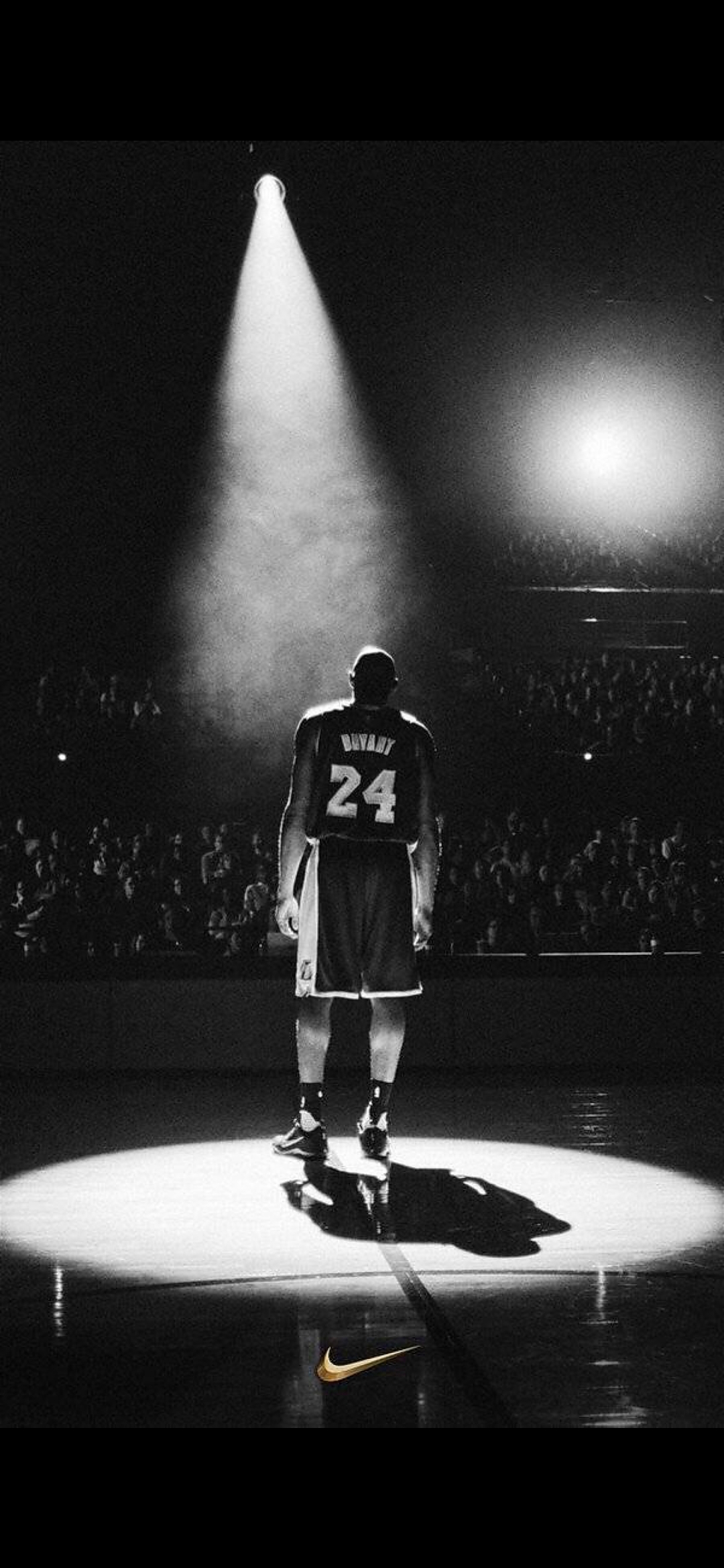 迅速传播 迅速传播